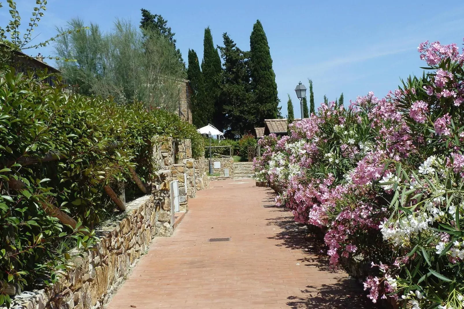 Holiday resort Antico Borgo Casalappi Campiglia Marittima - Type Bilo  B -piano terra- con terrazza-Exterior summer