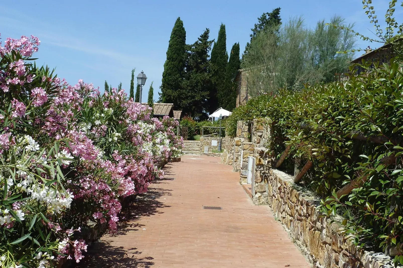 Holiday resort Antico Borgo Casalappi Campiglia Marittima - Type Trilo A-1 primo piano 2 livelli-Aussicht Sommer