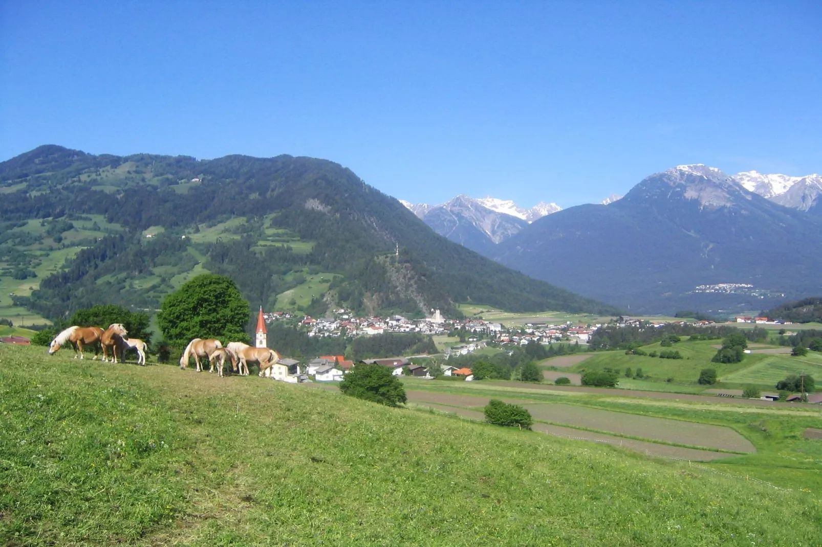 Lechner Alpenrose-View summer