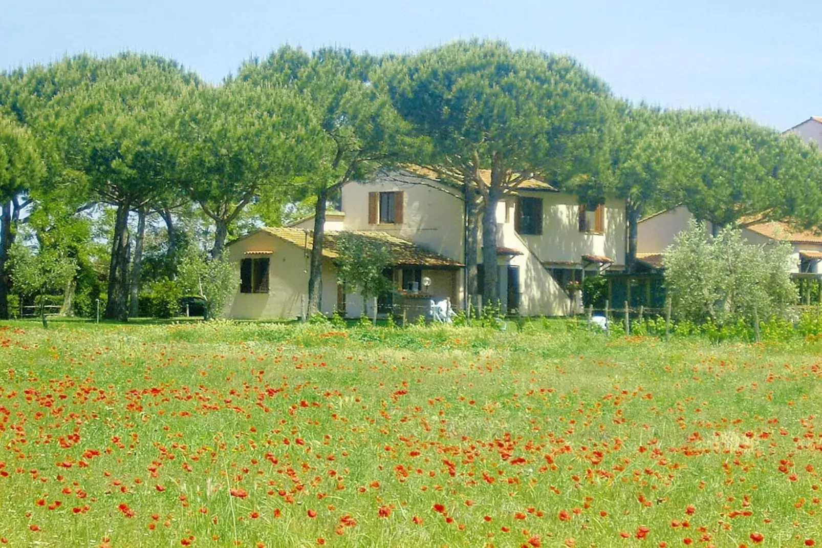 Ferienanlage Azienda Canova Seconda Marina di Grosseto Mono  im OG Haupth/Verwalterhaus Garten-Areas summer 1km