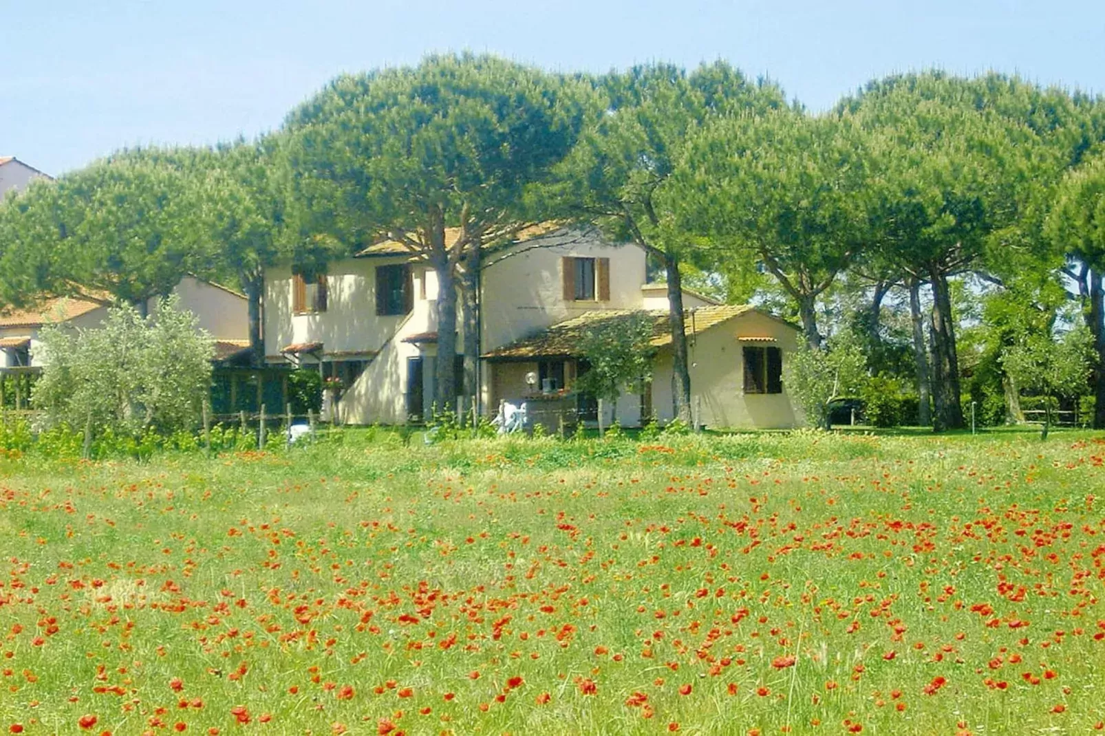 Ferienanlage Azienda Canova Seconda Marina di Grosseto Mono  im OG Haupth/Verwalterhaus Garten-Areas summer 1km