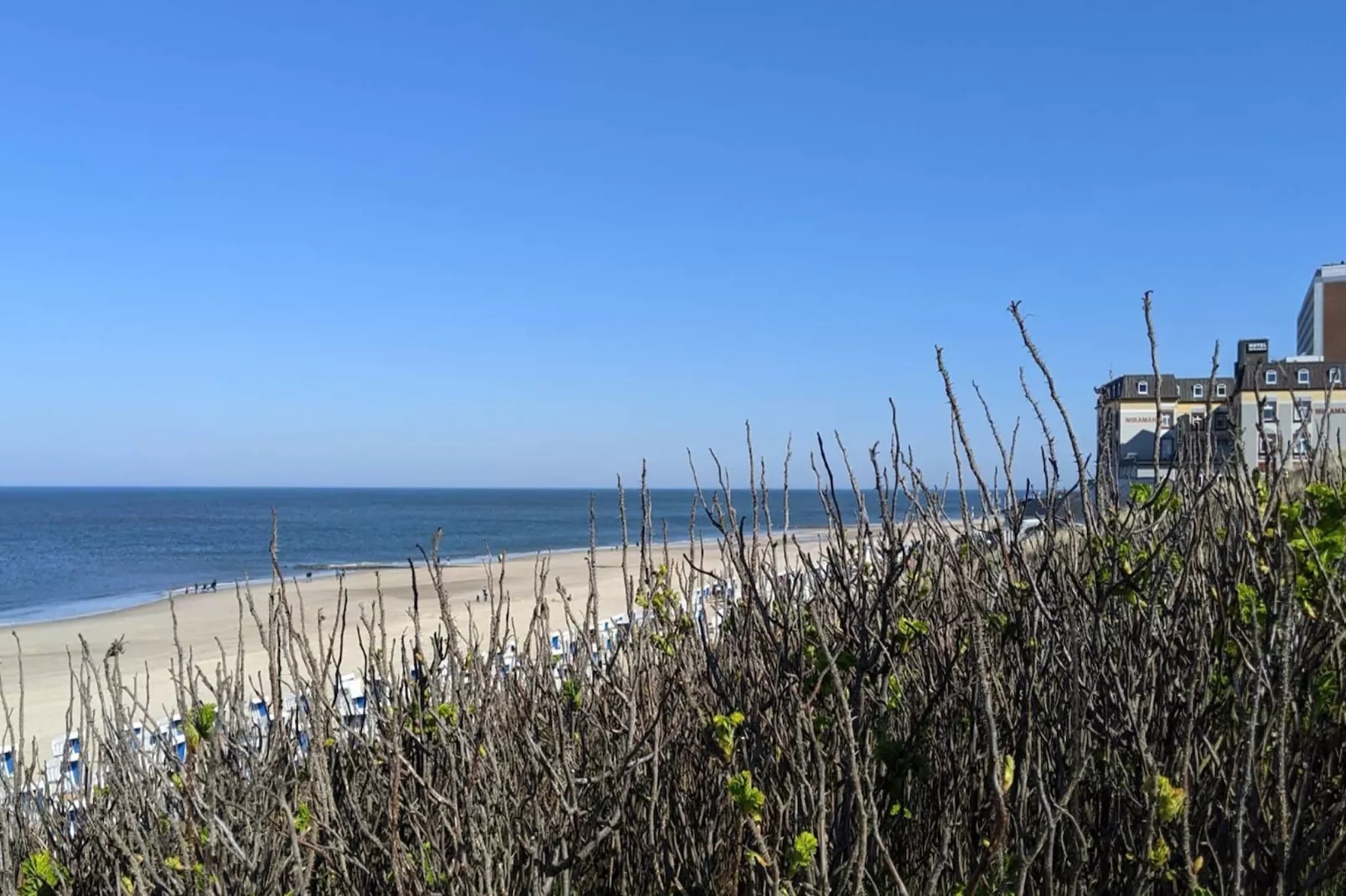 Ferienwohnung Zingst-Düne 22-Areas summer 5km