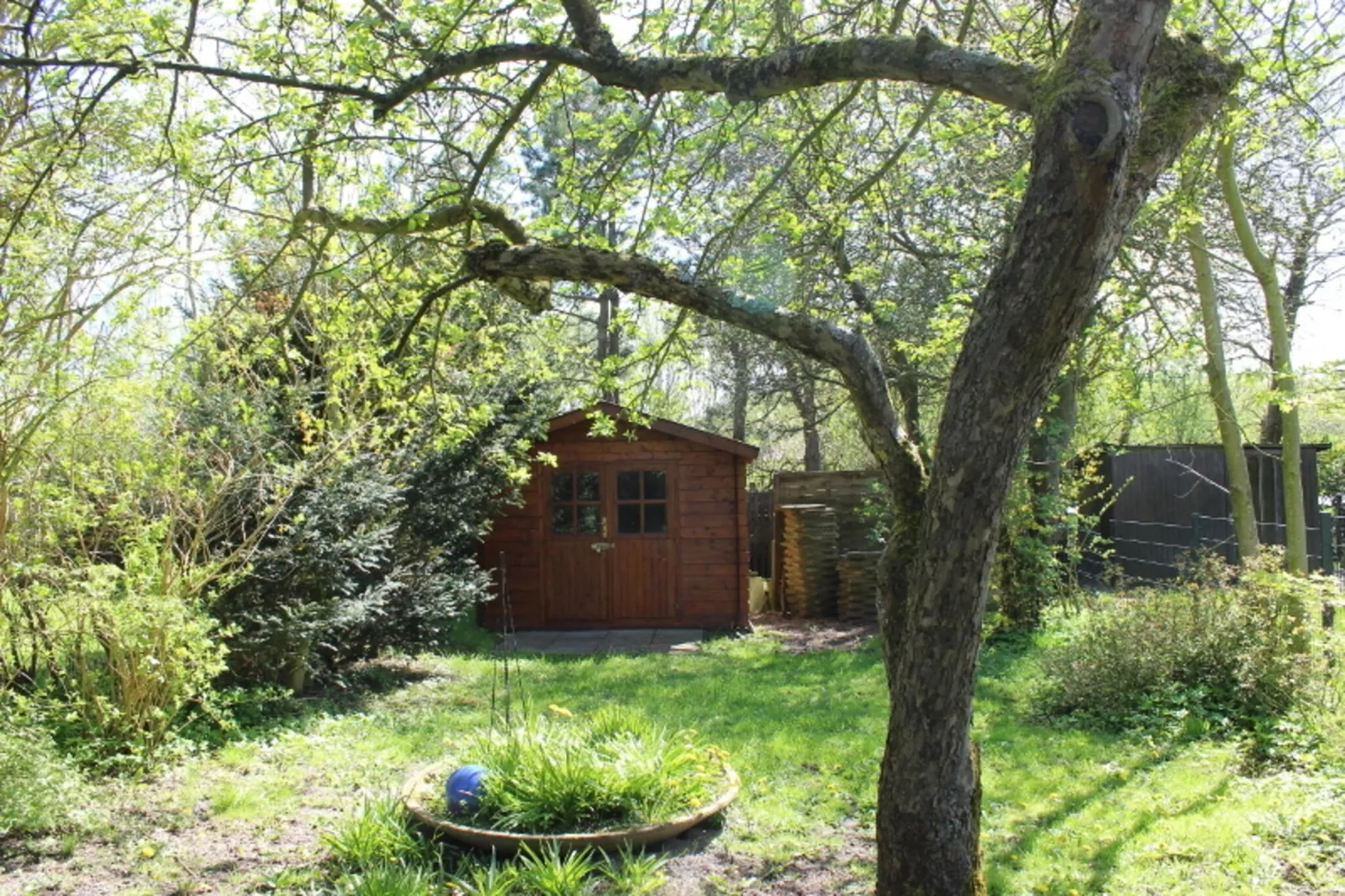gardensummer