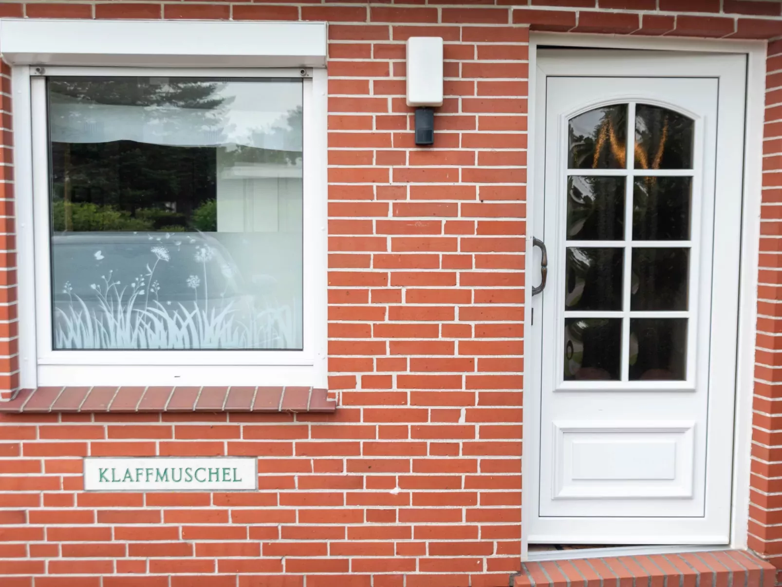 Klaffmuschel-Draußen