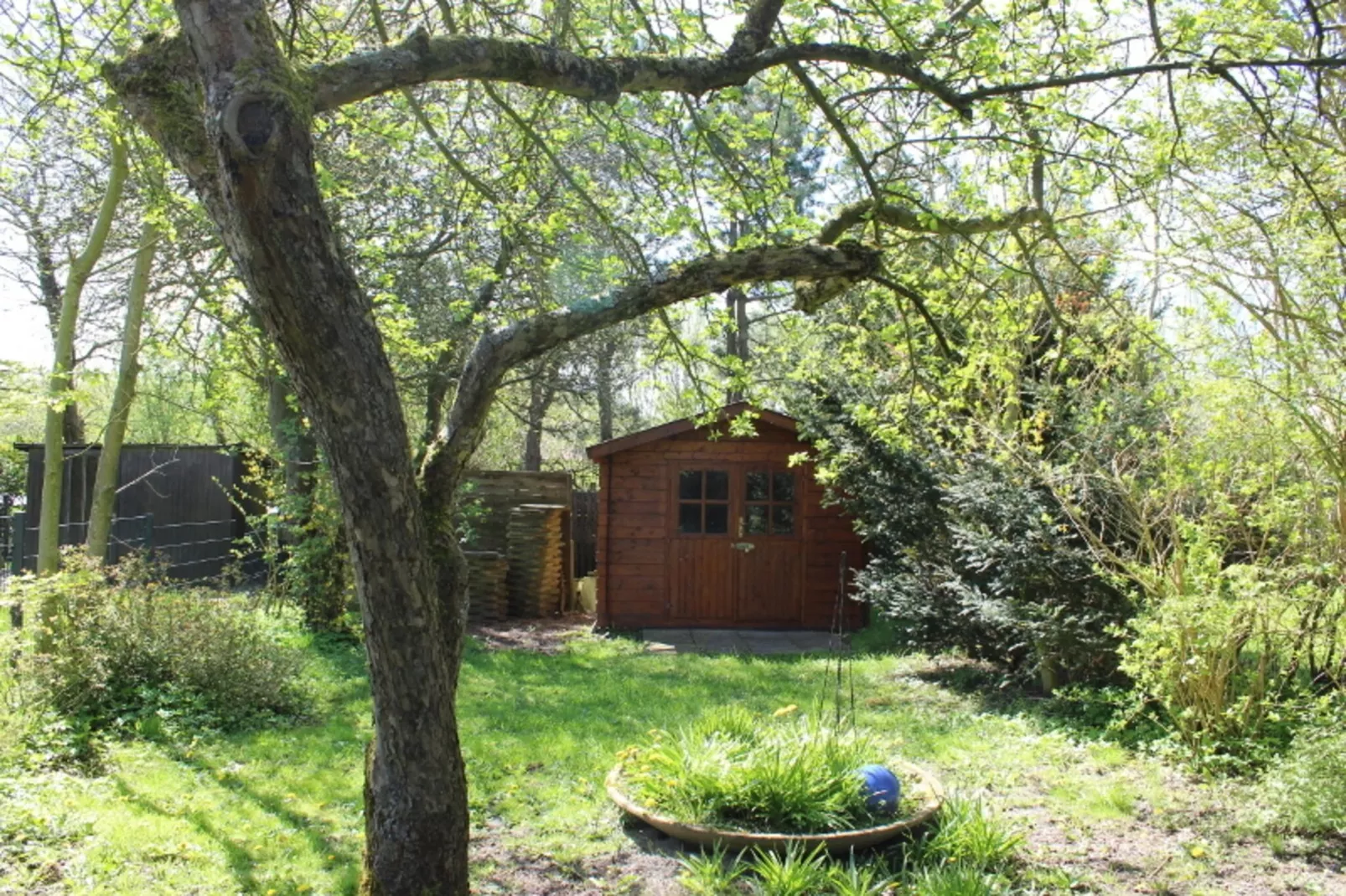 Ferienwohnung Bövergeest-Gardens summer