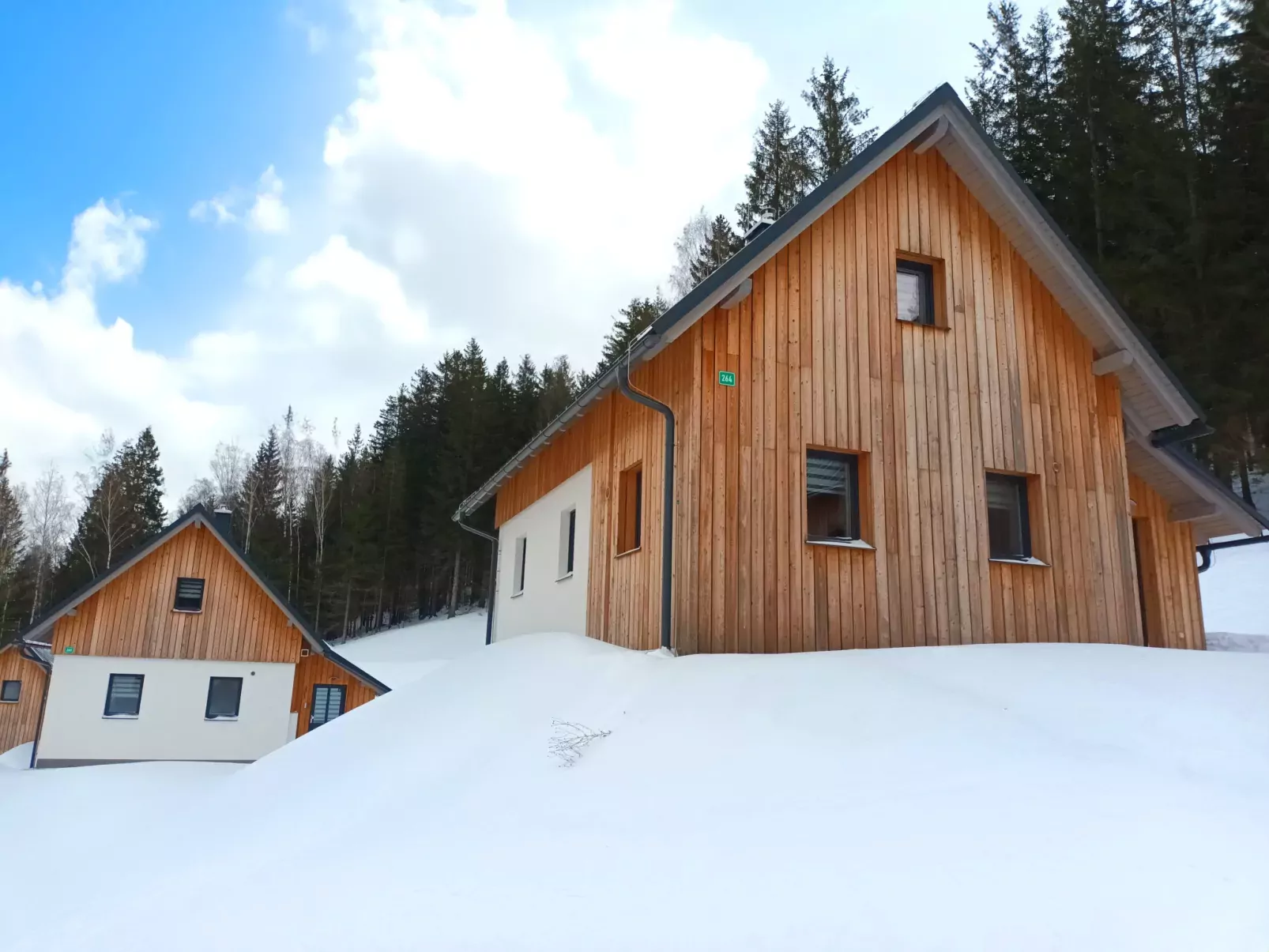 Chaloupka U lesa 264-Draußen