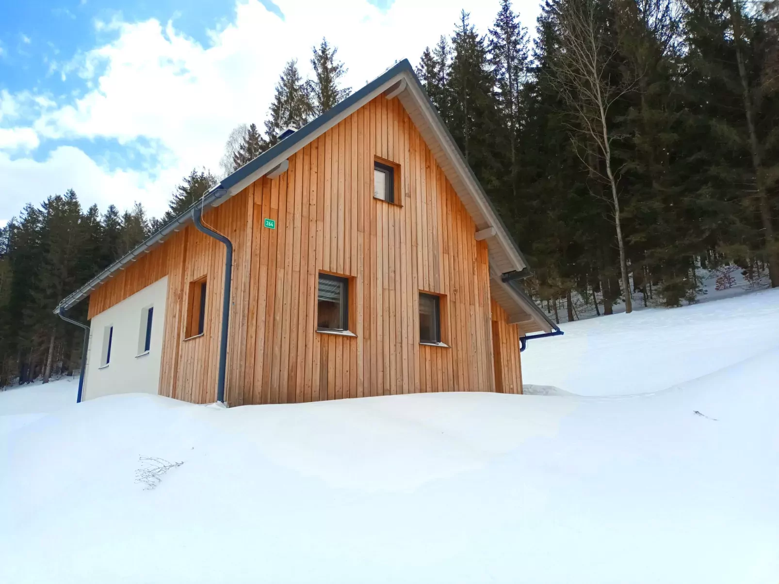 Chaloupka U lesa 264-Draußen