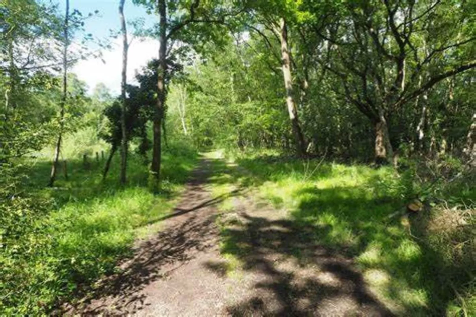 Ferienhaus Wiek-Areas summer 5km