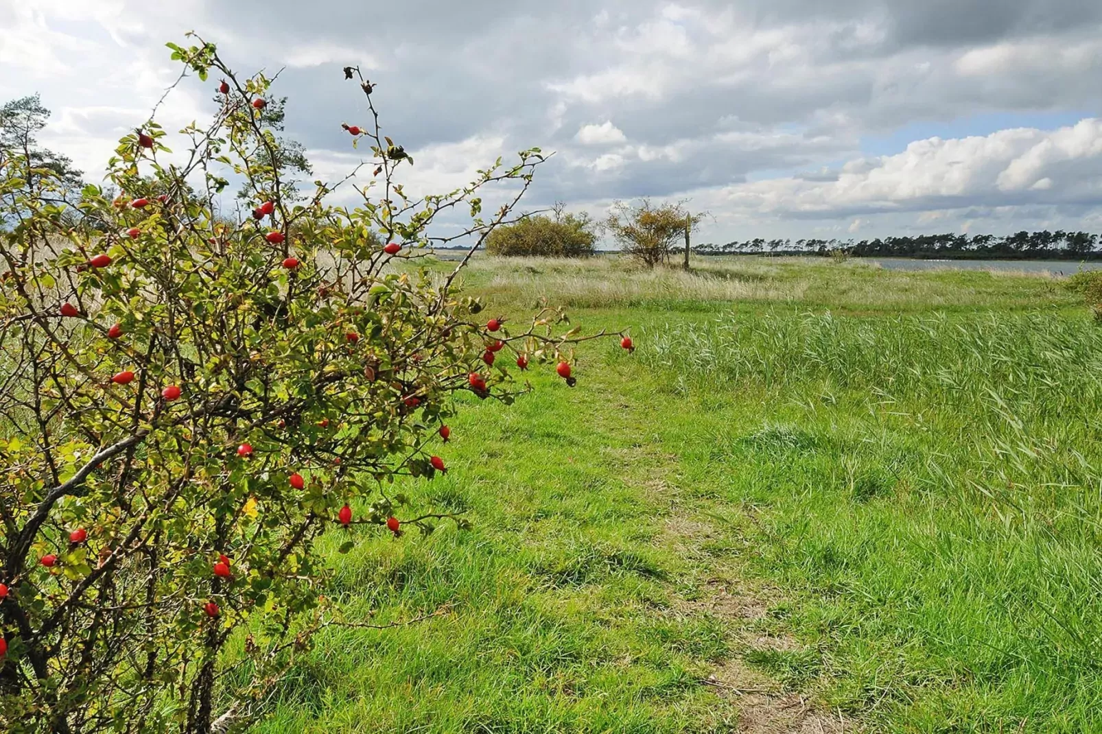Gutshaus Zicker -Wohnung 12-Gebiete Sommer 1 km