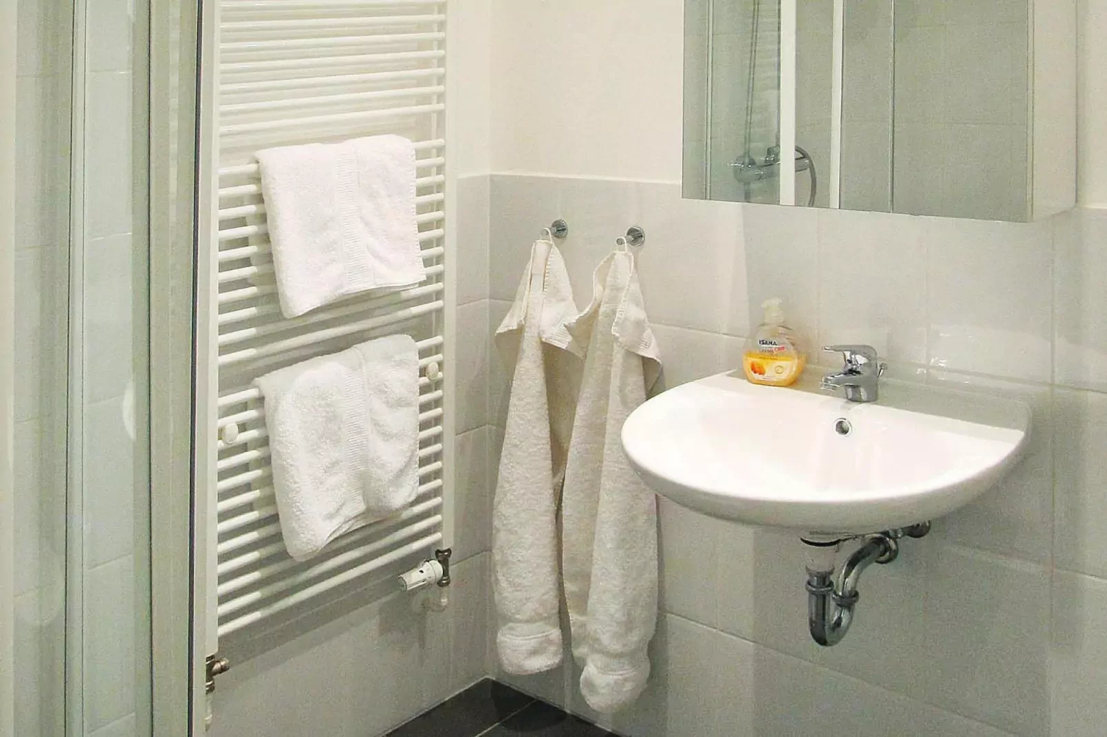 Gutshaus Zicker -Wohnung 11-Badezimmer