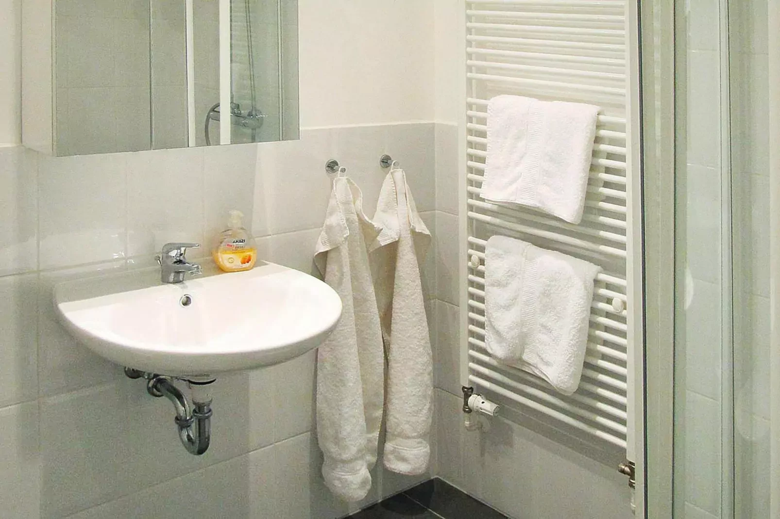 Gutshaus Zicker -Wohnung 11-Badezimmer
