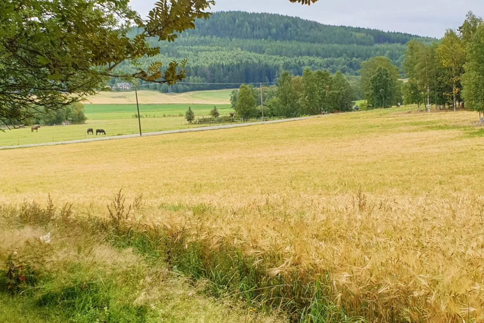4 Personen Ferienhaus in JÄRVSÖ-By Traum-Aussicht