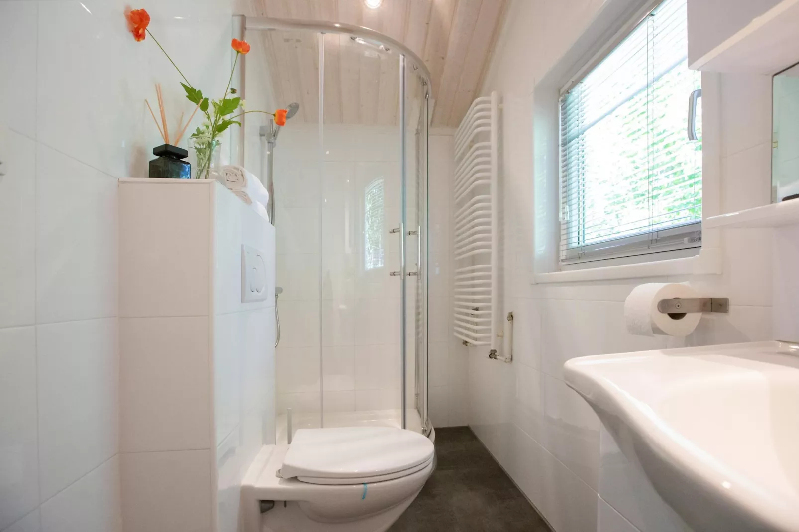 Vakantiepark Latour 3-Bathroom