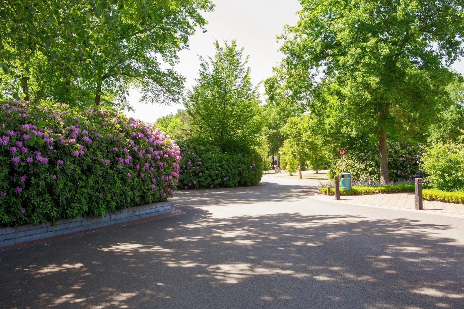 Vakantiepark Latour 3-Gardens summer