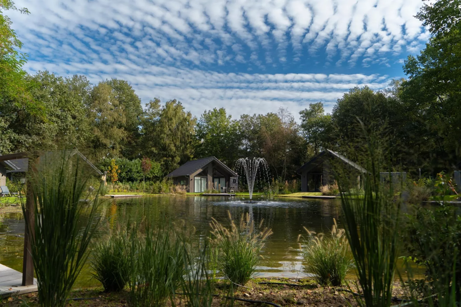 Vakantiepark Latour 3-View summer