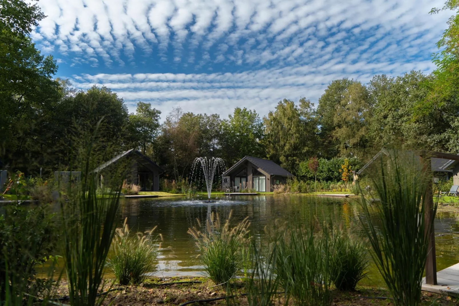 Vakantiepark Latour 3-View summer