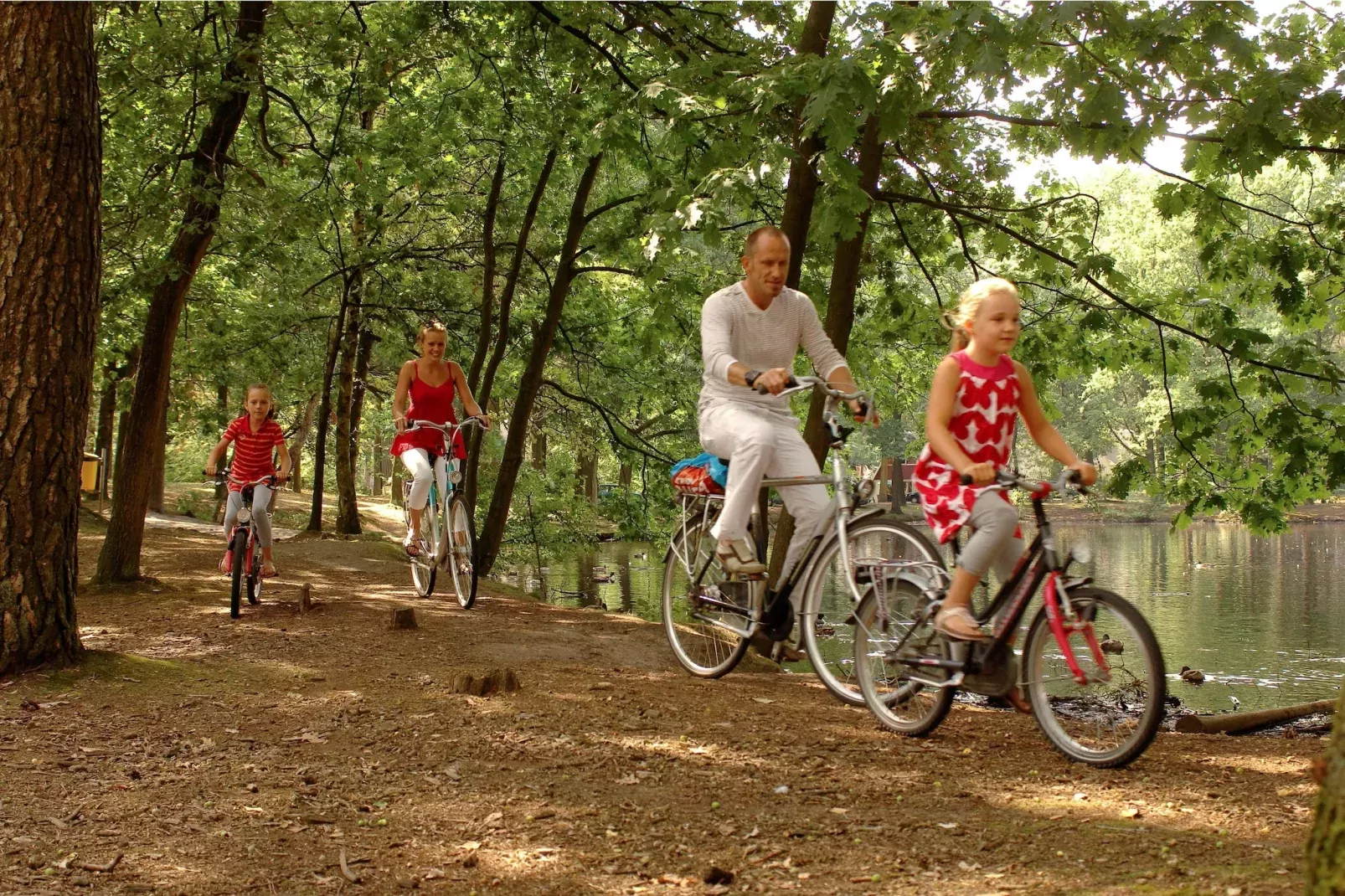 Bospark 't Wolfsven 7-Installations du parc