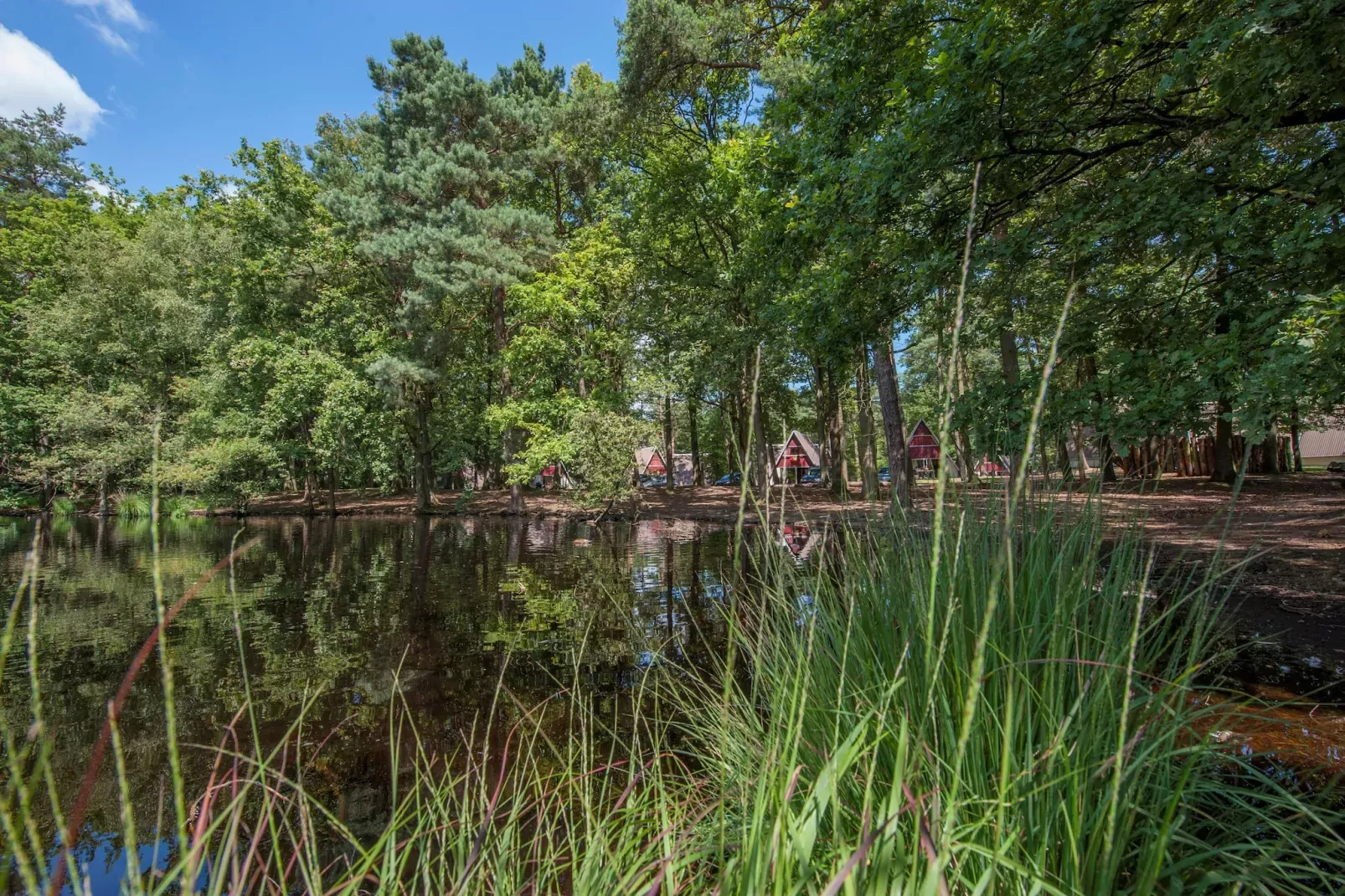 Bospark 't Wolfsven 7-Installations du parc