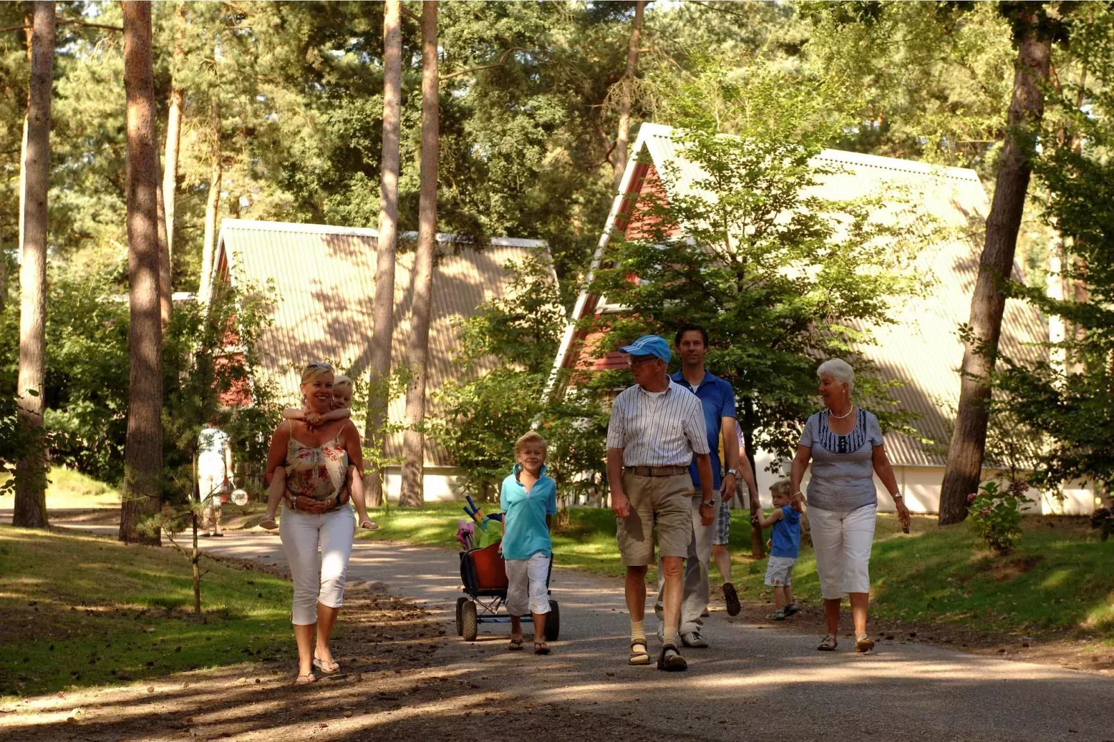 Bospark 't Wolfsven 8-Areas summer 1km