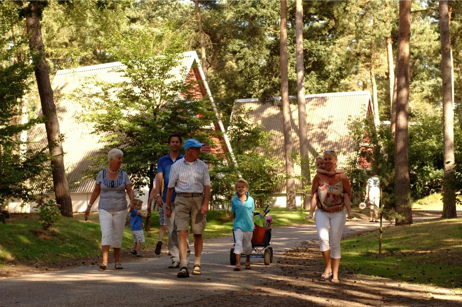 Bospark 't Wolfsven 8-Areas summer 1km