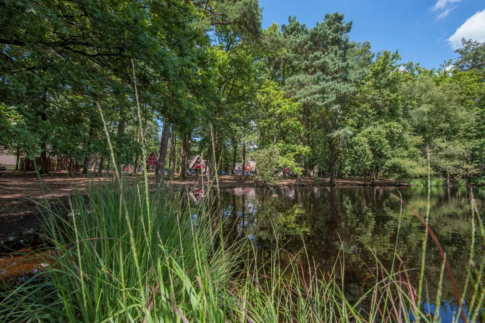 Bospark 't Wolfsven 9-Park facilities
