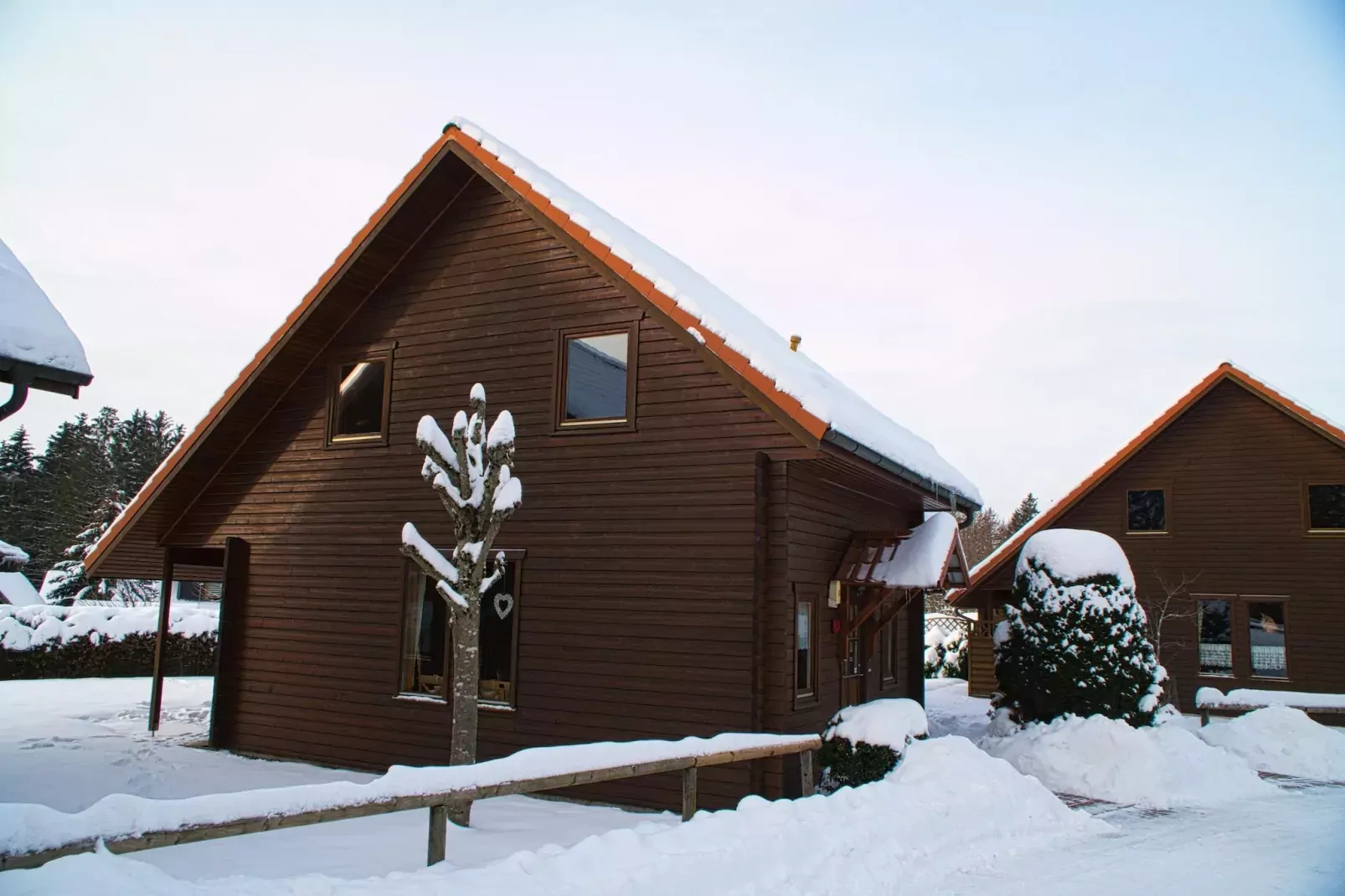 Ferienhaus in Hasselfelde - Haus 46 Blauvogel-Außenbereich Winter