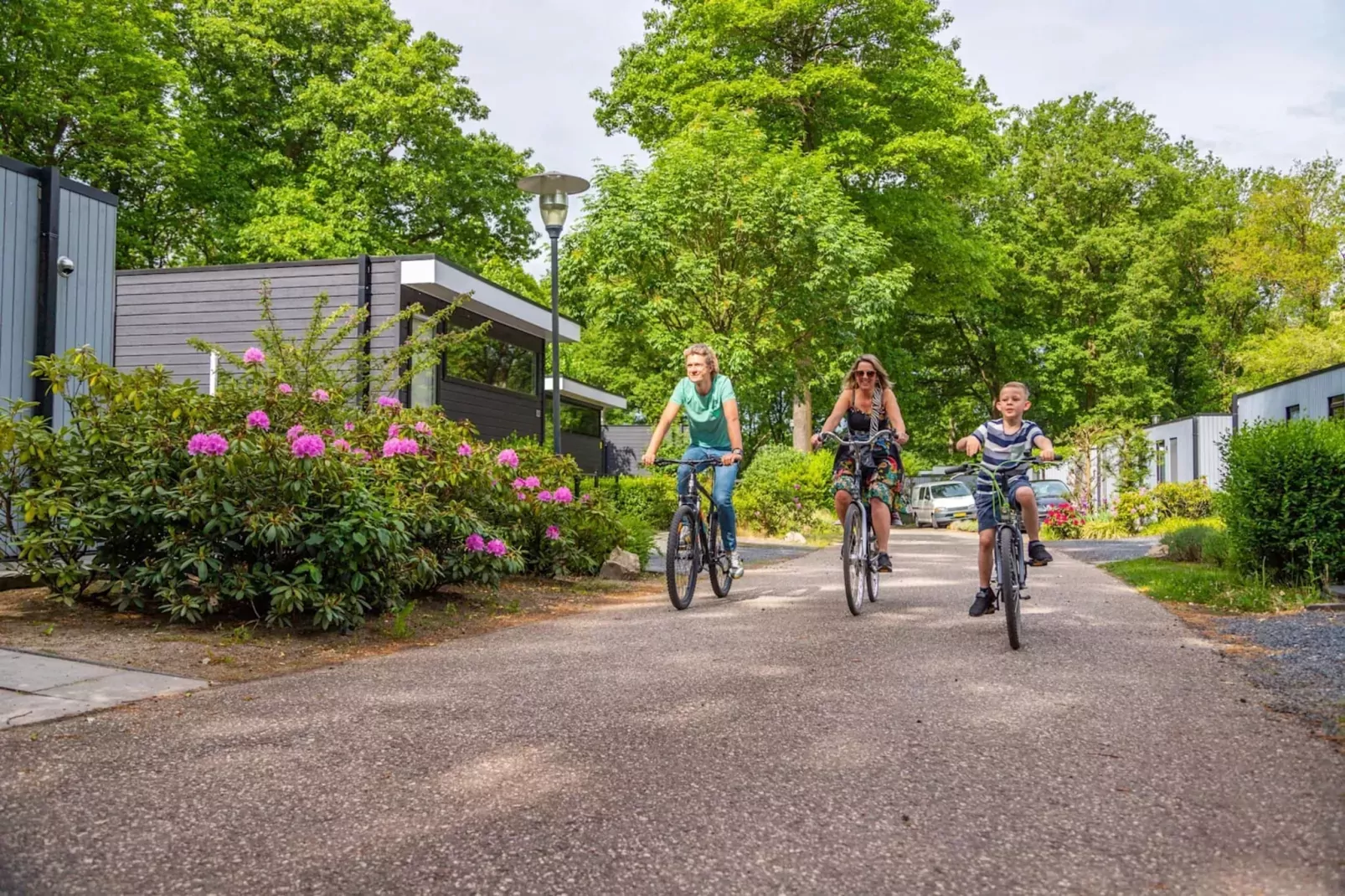 Resort Maasduinen 1-Areas summer 5km
