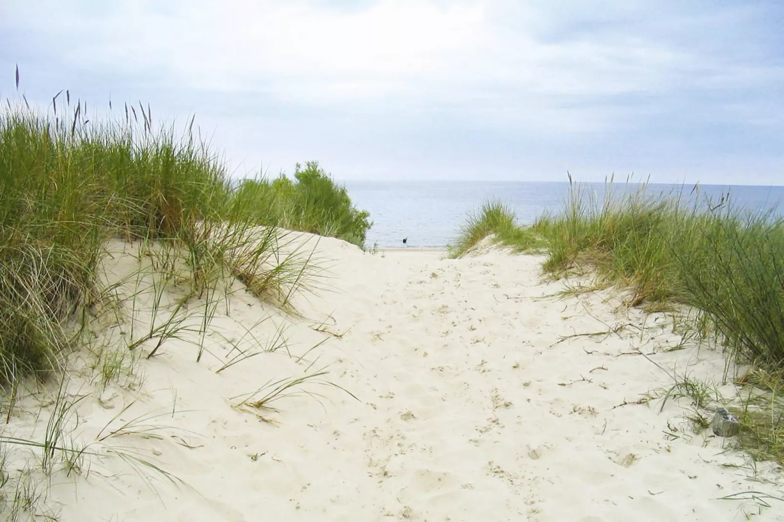 Dünenwaldhaus links Typ 1-Areas summer 5km