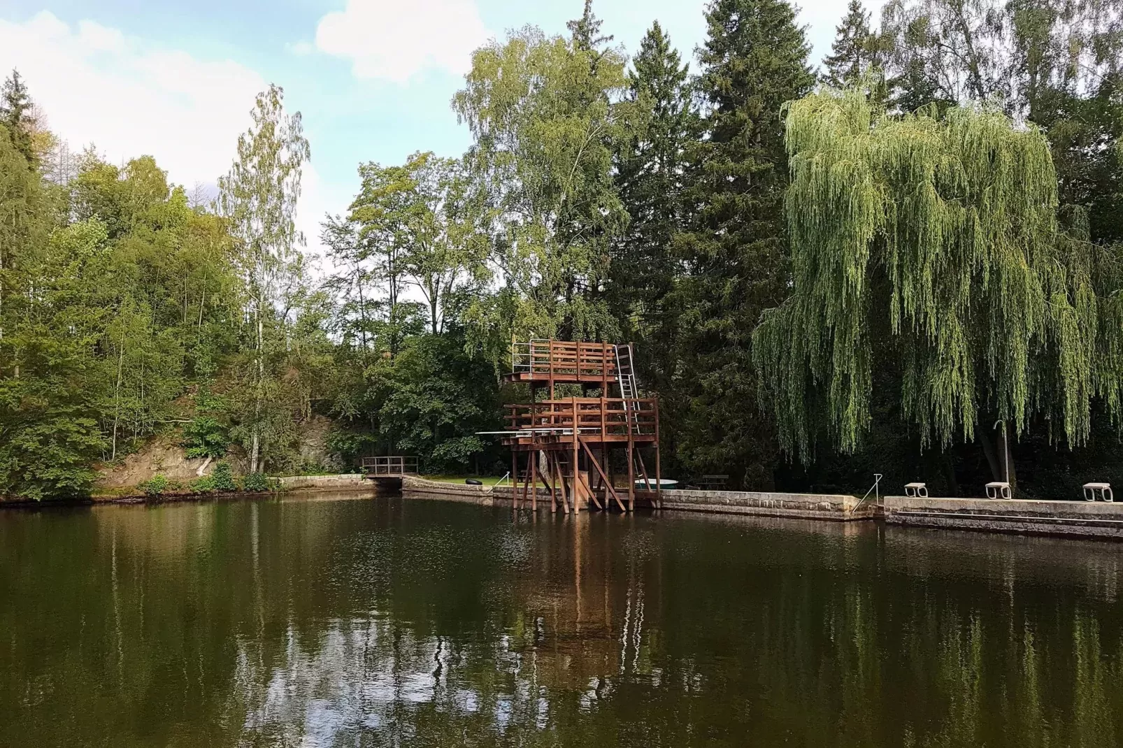 Ferienhaus in Hasselfelde - Haus 46 Blauvogel-Gebiete Sommer 5 km