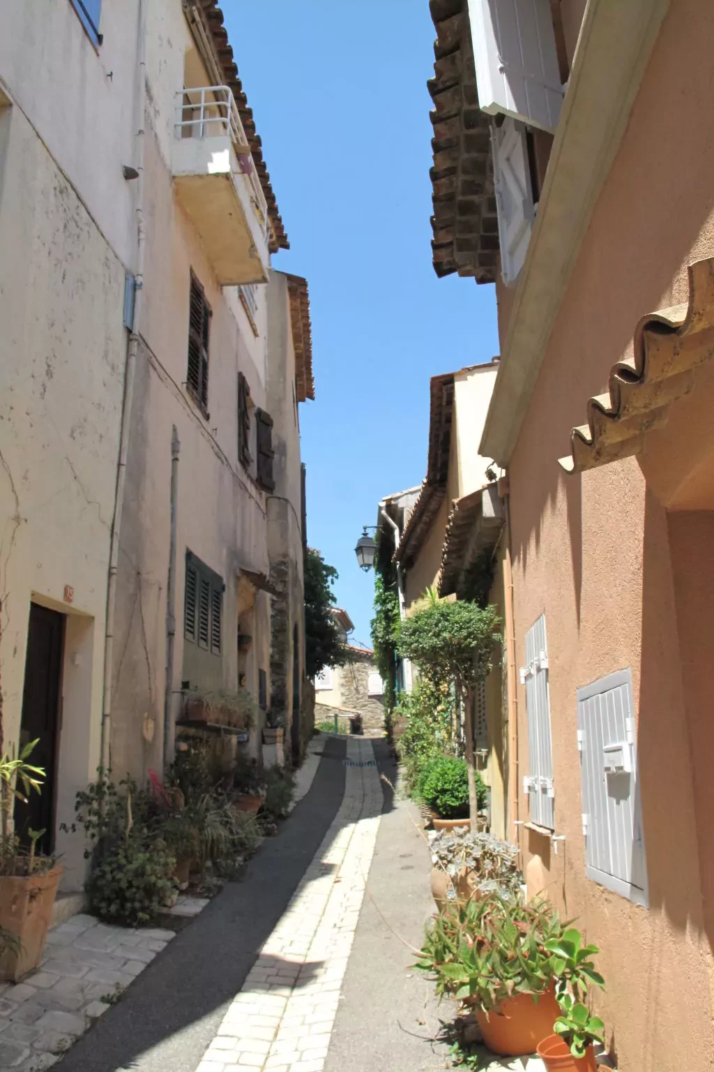 Serapias-Area
