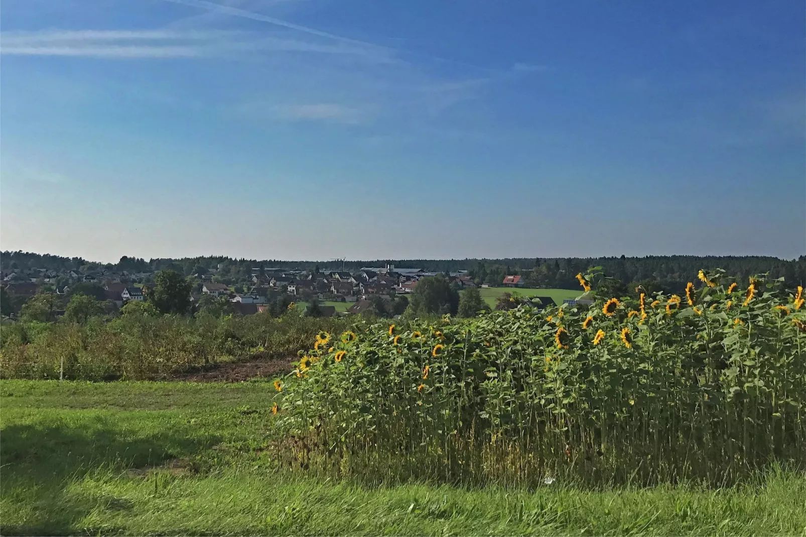Marianne-Areas summer 1km