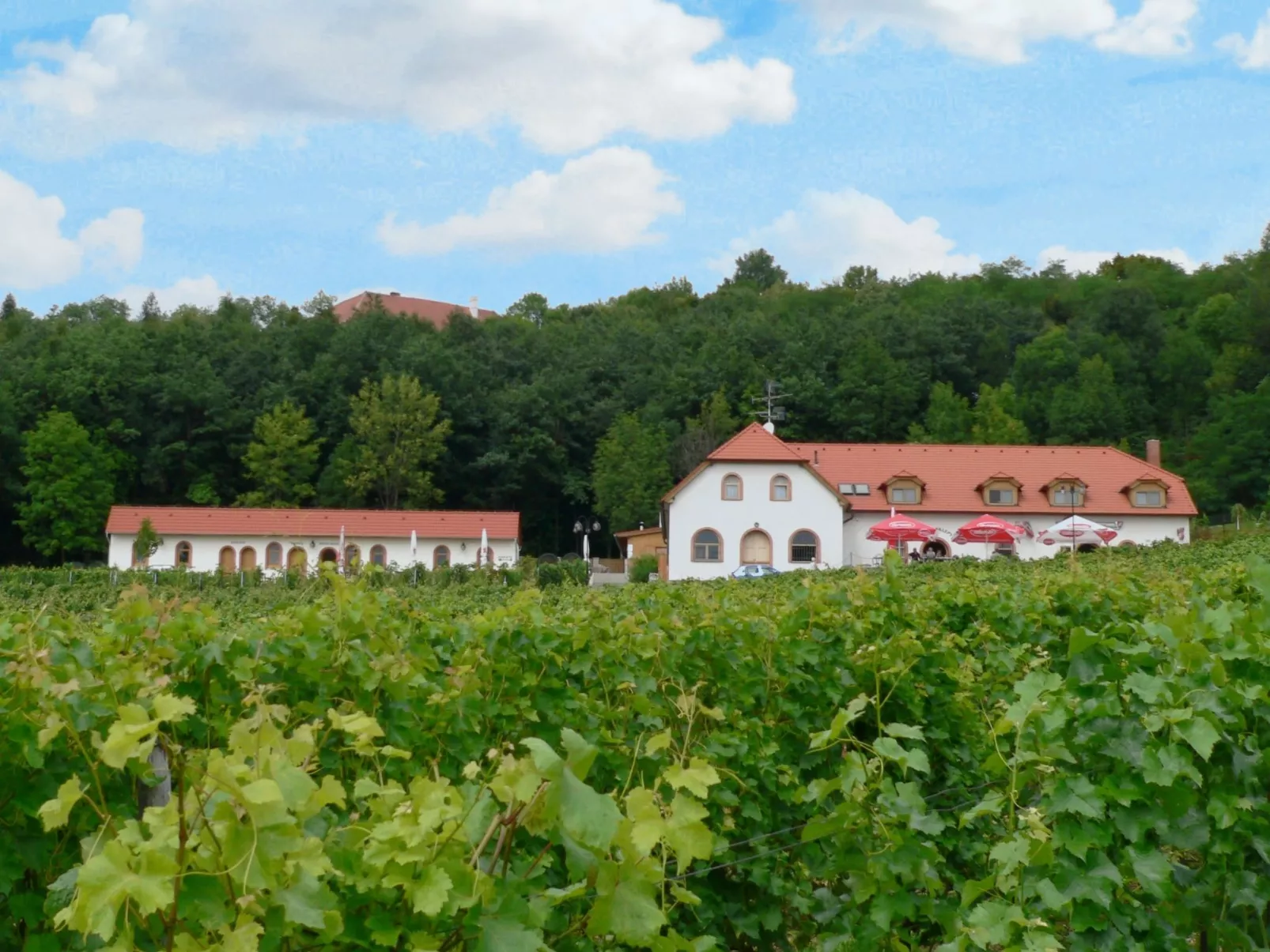 Kojetice na Moravě-Draußen
