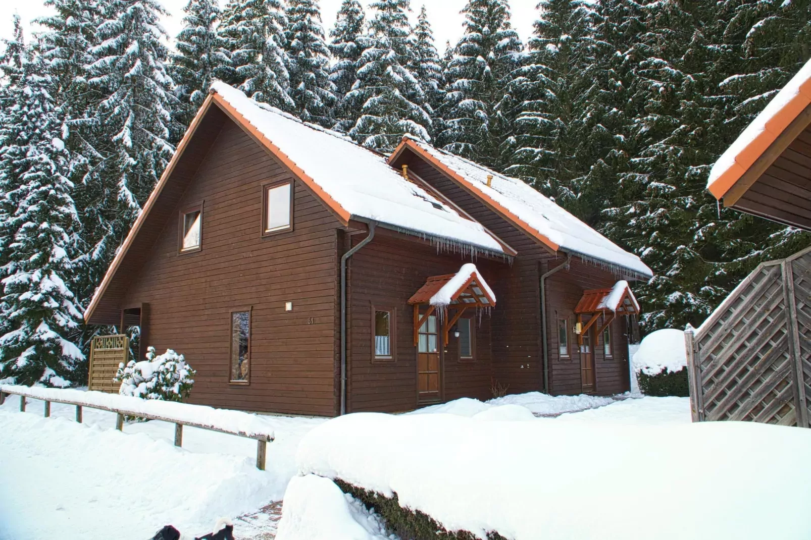 Ferienhaus in Hasselfelde - Haus 62 Blauvogel-Exterior winter