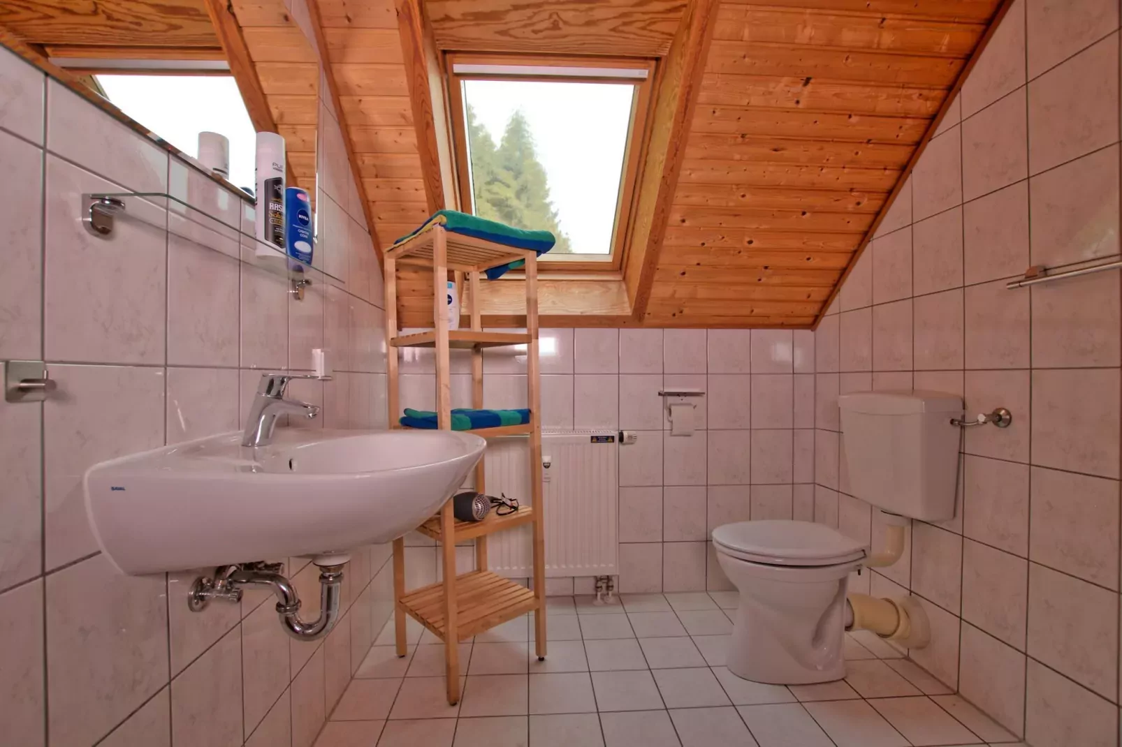 Ferienhaus in Hasselfelde - Haus 62 Blauvogel-Bathroom