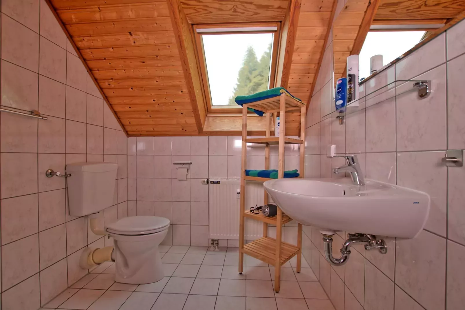 Ferienhaus in Hasselfelde - Haus 62 Blauvogel-Bathroom