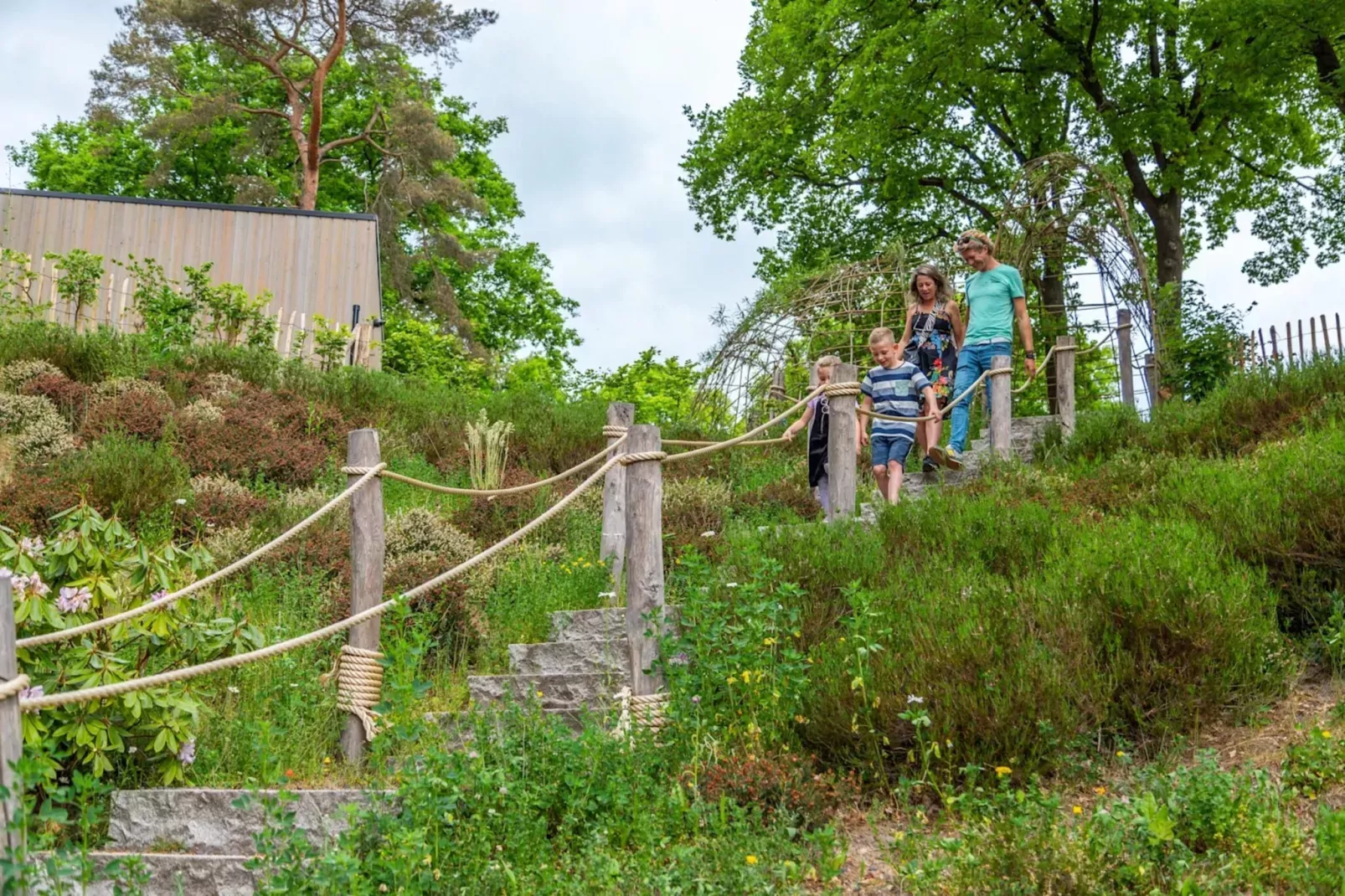 Resort Maasduinen 14-Areas summer 1km