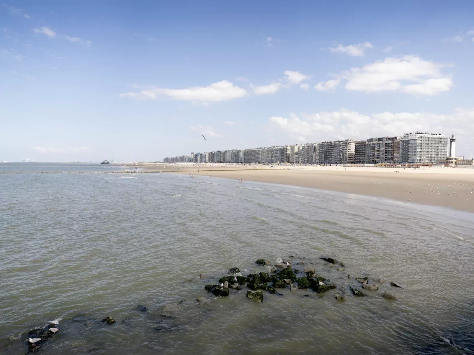 Gelsea with parking and terrace-Outside
