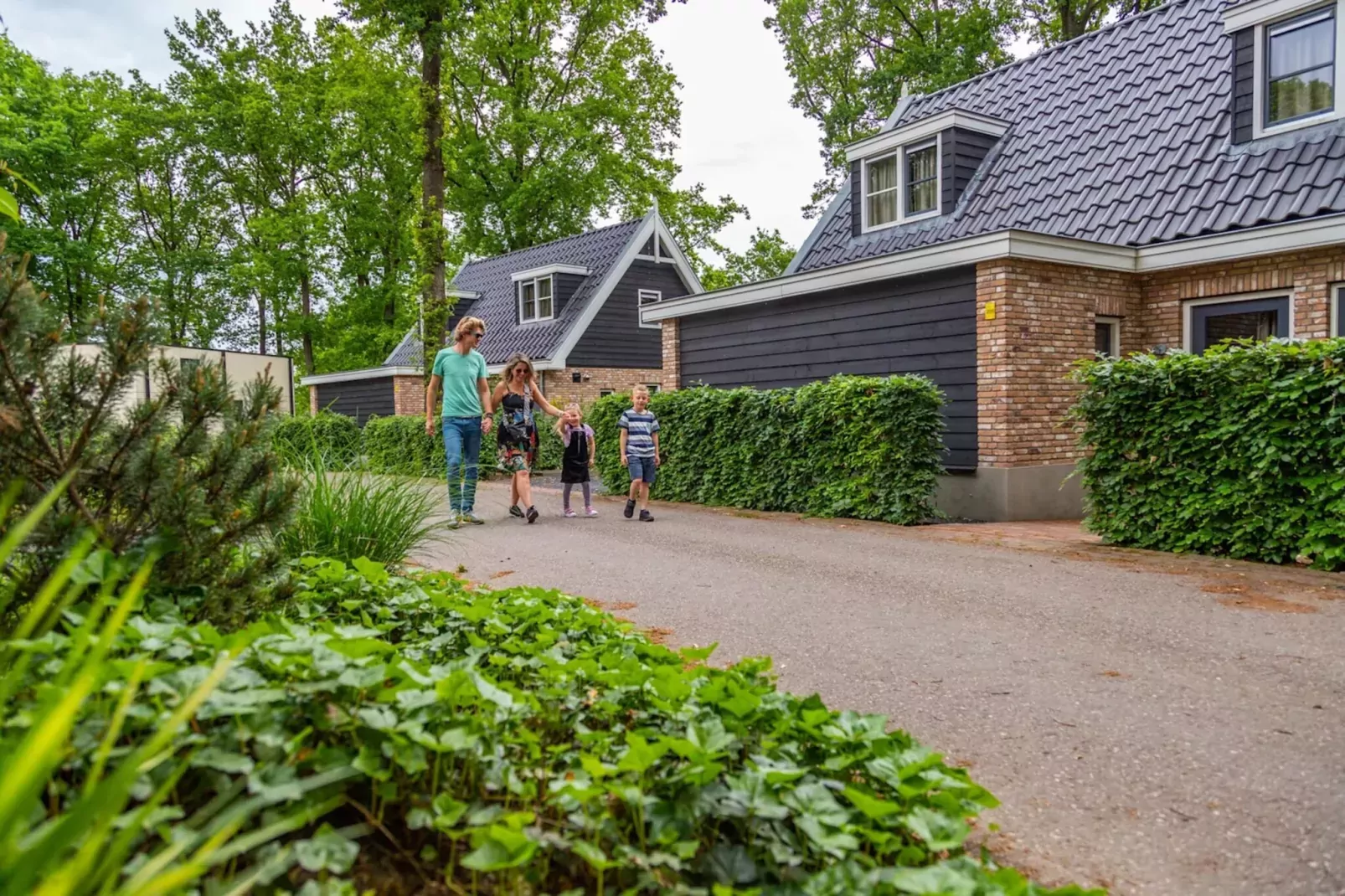 Resort Maasduinen 14-Areas summer 1km