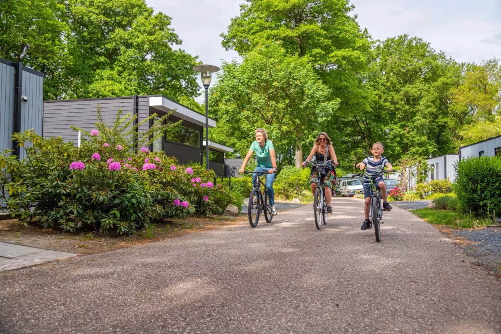 Resort Maasduinen 14-Areas summer 5km