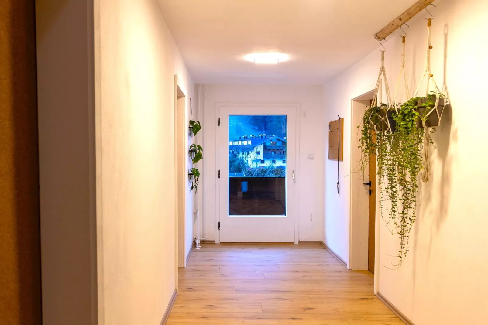 Backyard Mountain Hostel-Palier