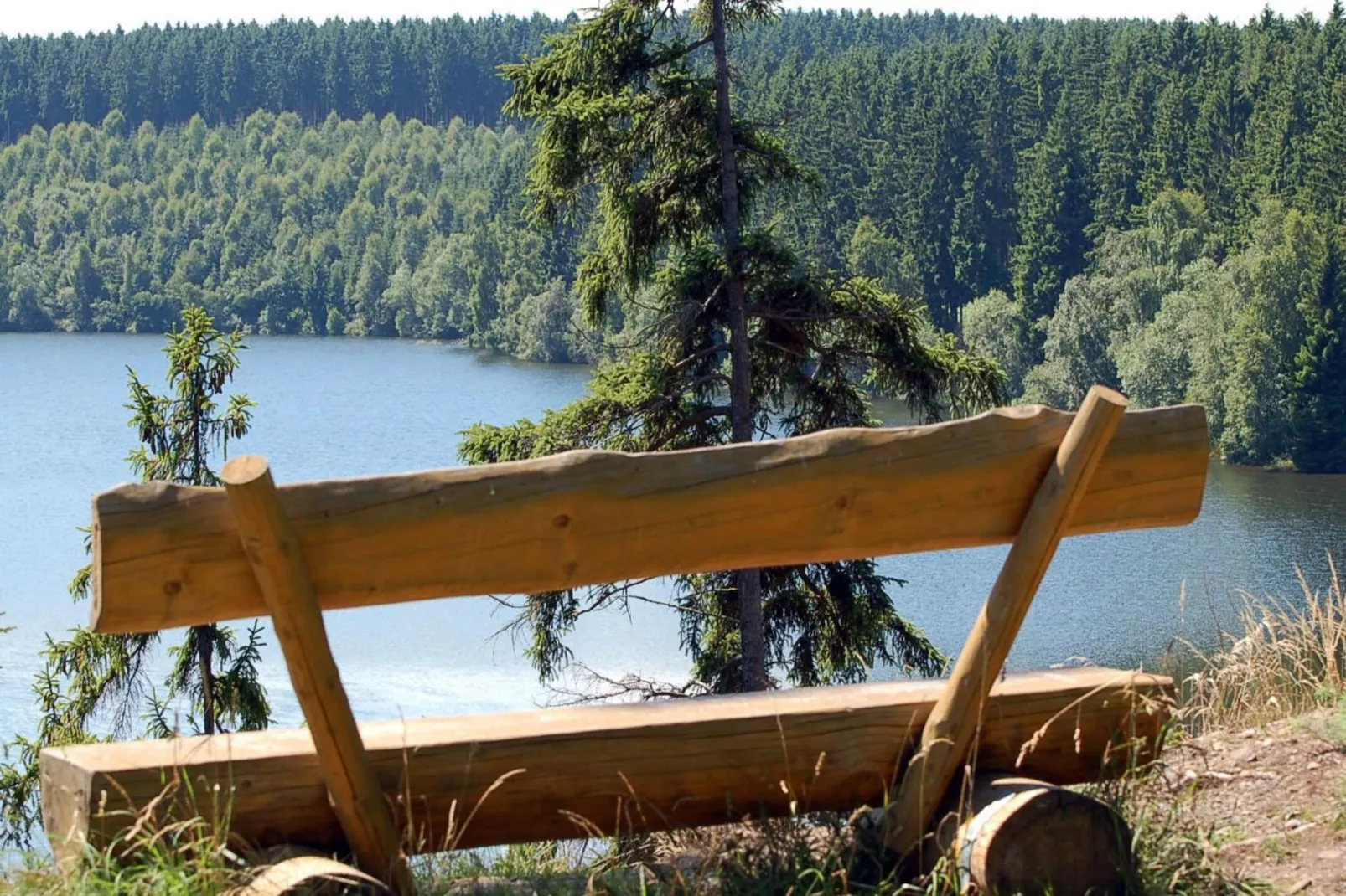Ferienhaus in Hasselfelde - Haus 403 Auerhahn-Gebiete Sommer 1 km