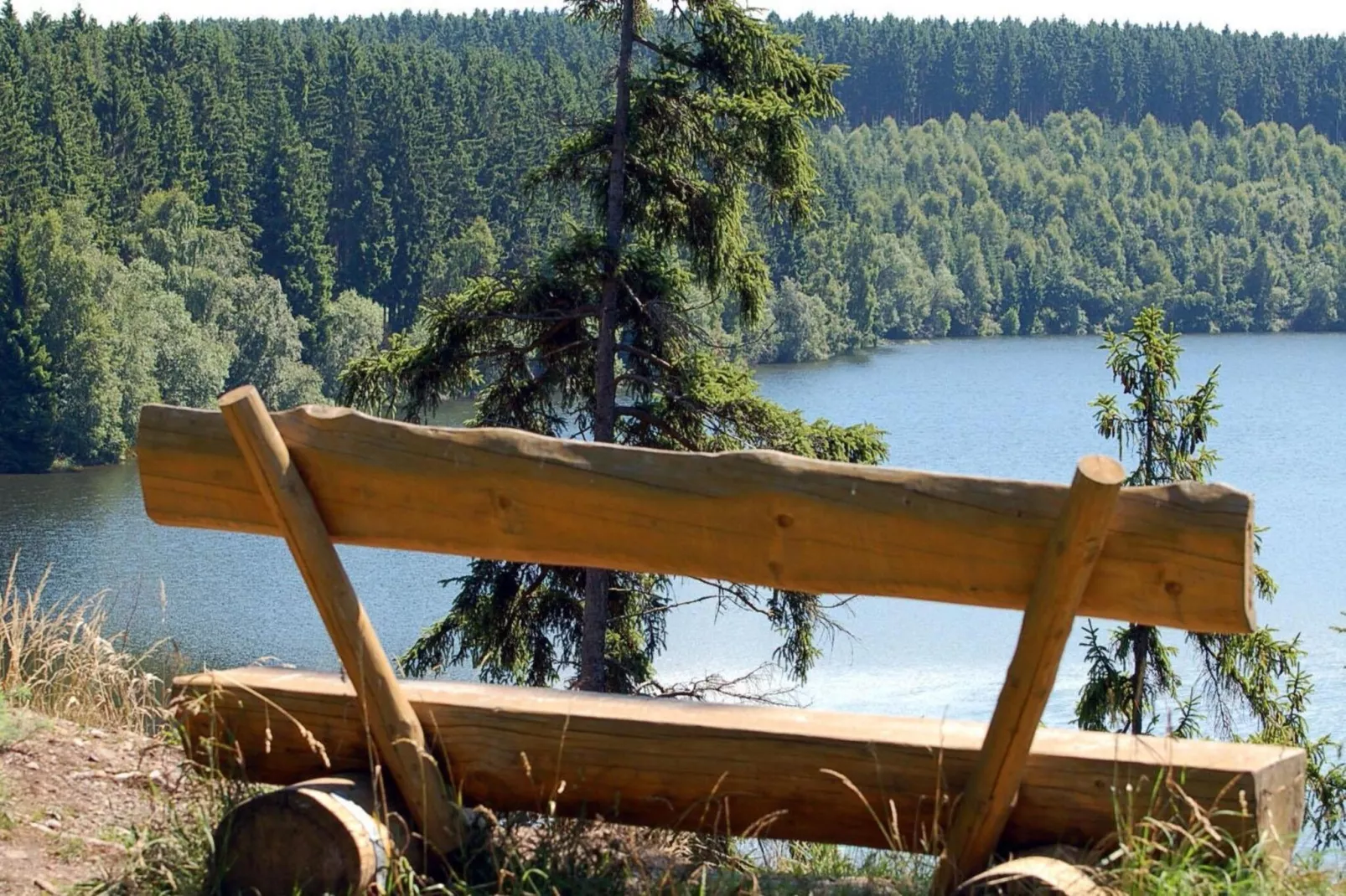 Ferienhaus in Hasselfelde - Haus 403 Auerhahn-Gebiete Sommer 5 km