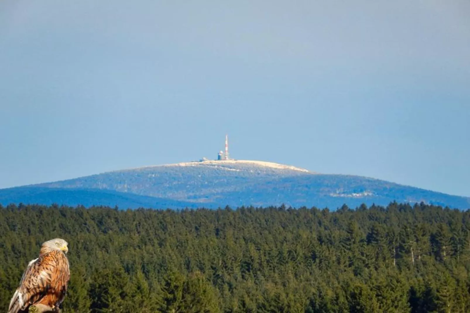 Ferienhaus in Hasselfelde - Haus 403 Auerhahn-Gebiete Sommer 5 km