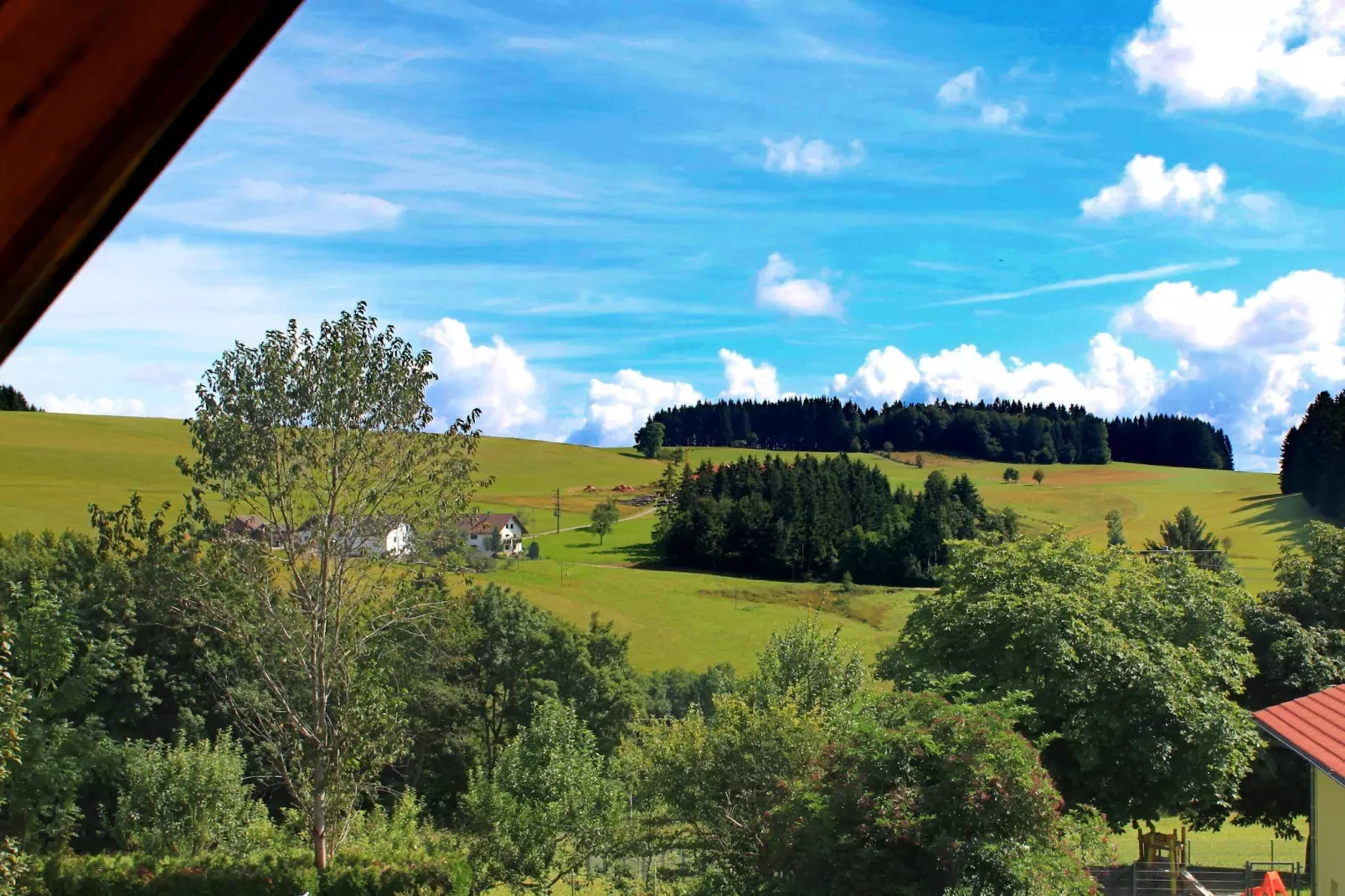 Schwarzwald-Aussicht Sommer