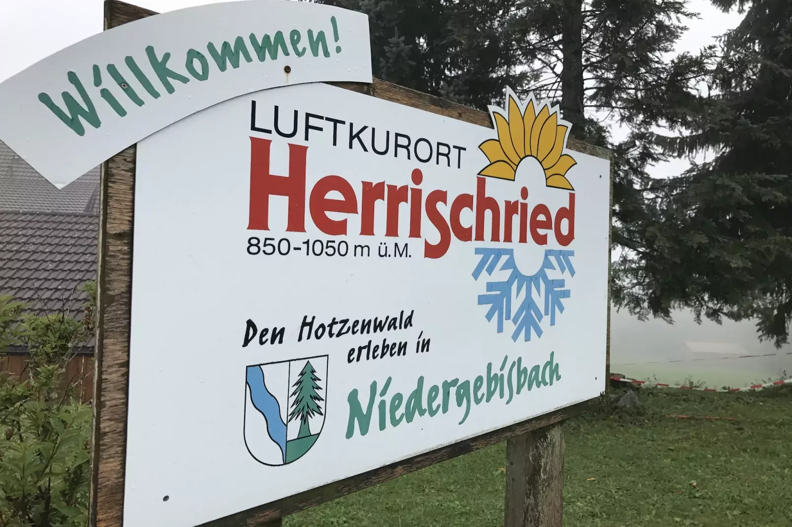 Schwarzwald-Gebiete Sommer 1 km