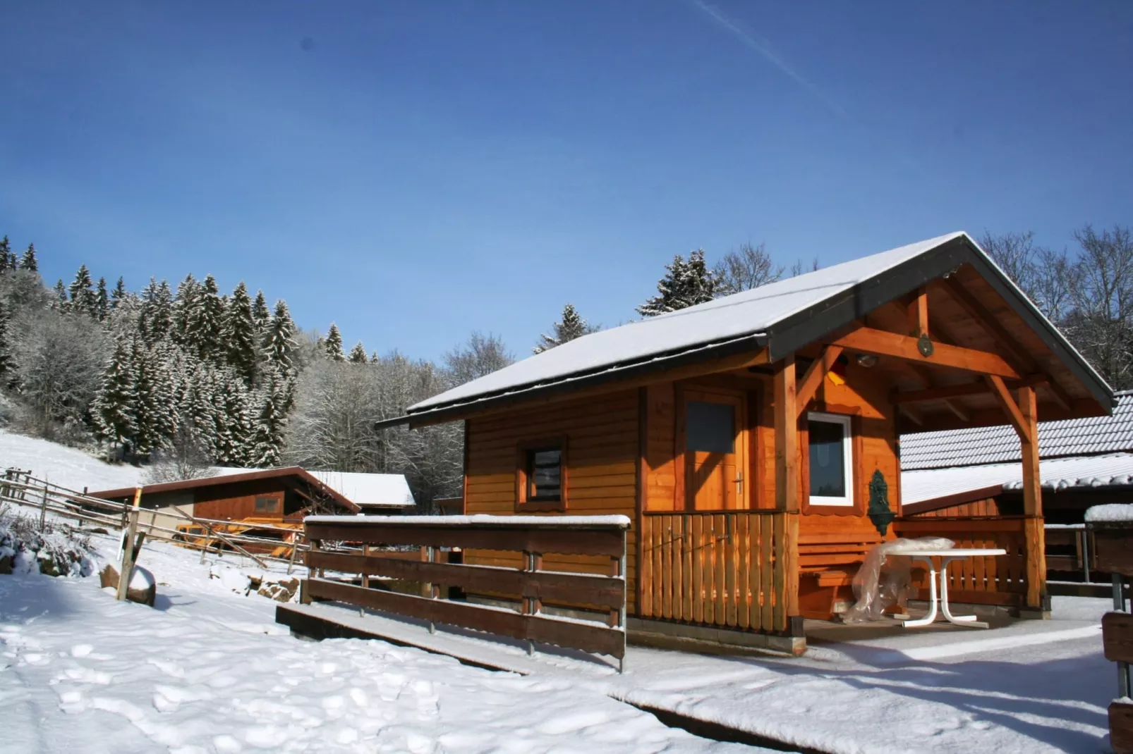 Vogelsang-Garden winter