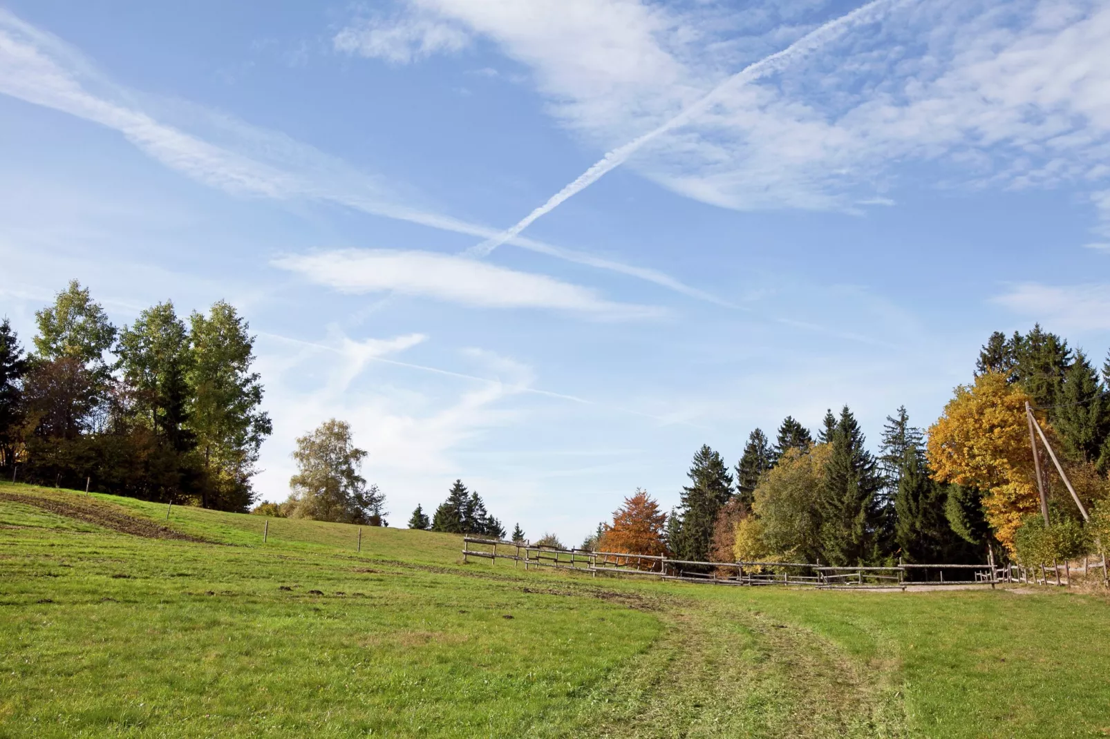 Vogelsang-Areas summer 5km