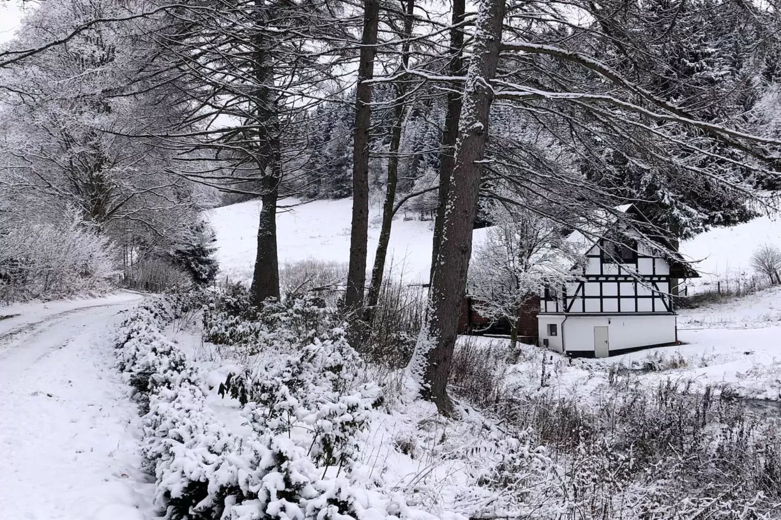 Lodge Winterberg-Exterior winter