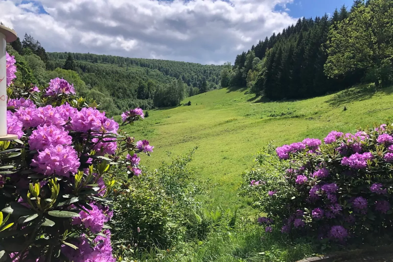 Lodge Winterberg-Gardens summer