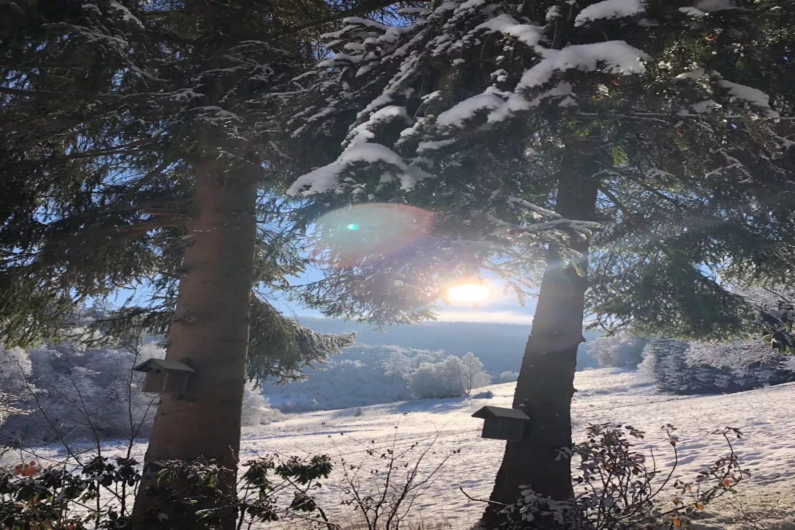 Lodge Winterberg-Garden winter